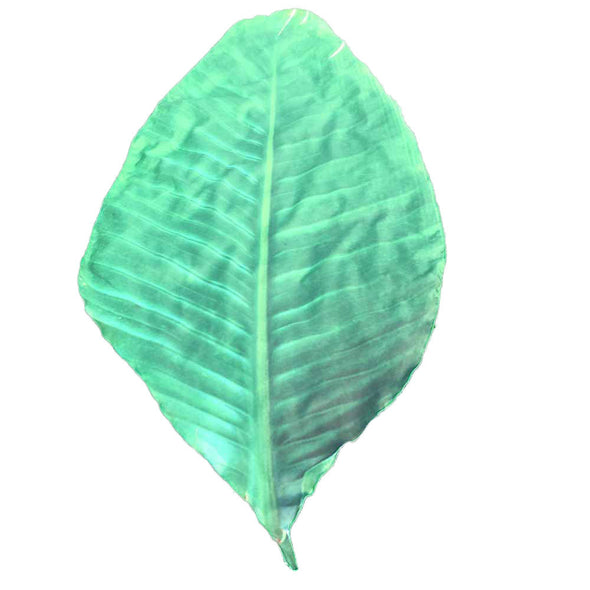 Leaf Shaped Beach Mat